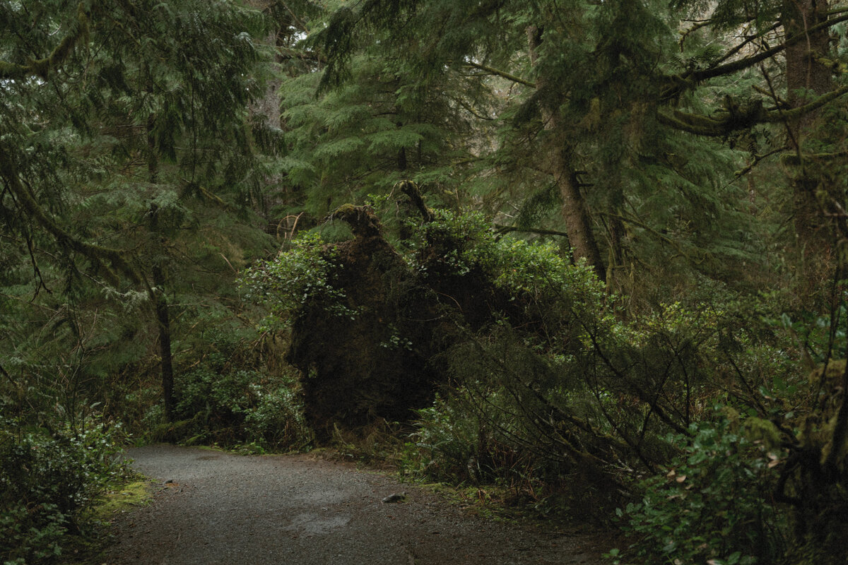 elopement oregon short sands beach - lizarrietaphotography-75