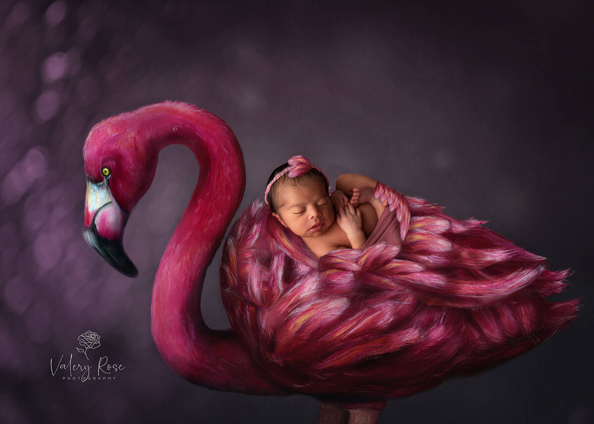 newborn baby laying on flamingo art photo