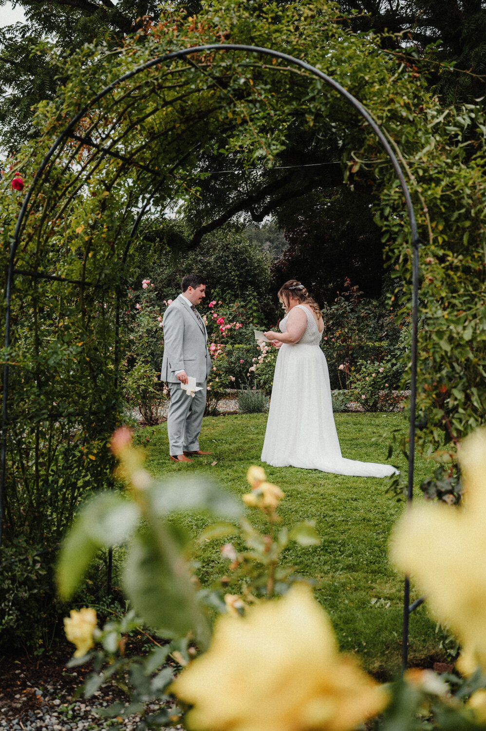 Stratling Vineyard-58