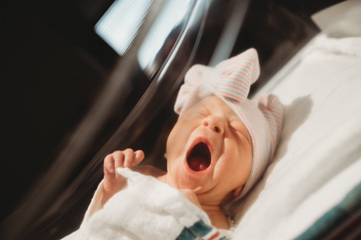 harrison-fresh48-bismarck-14