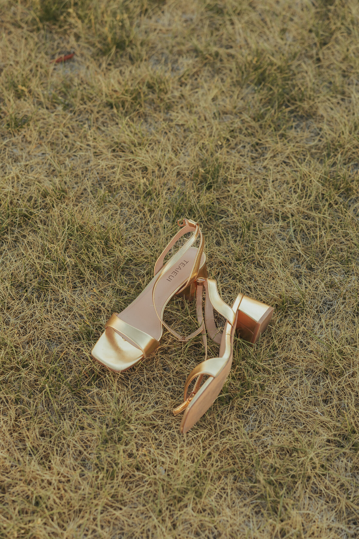 ellie hof photography-- c+c-288