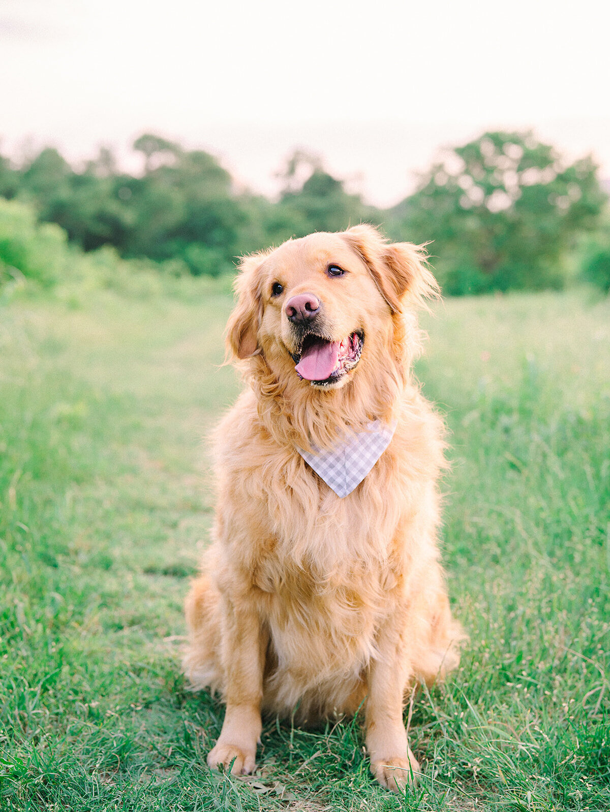 Wellbaum Family 2022-63