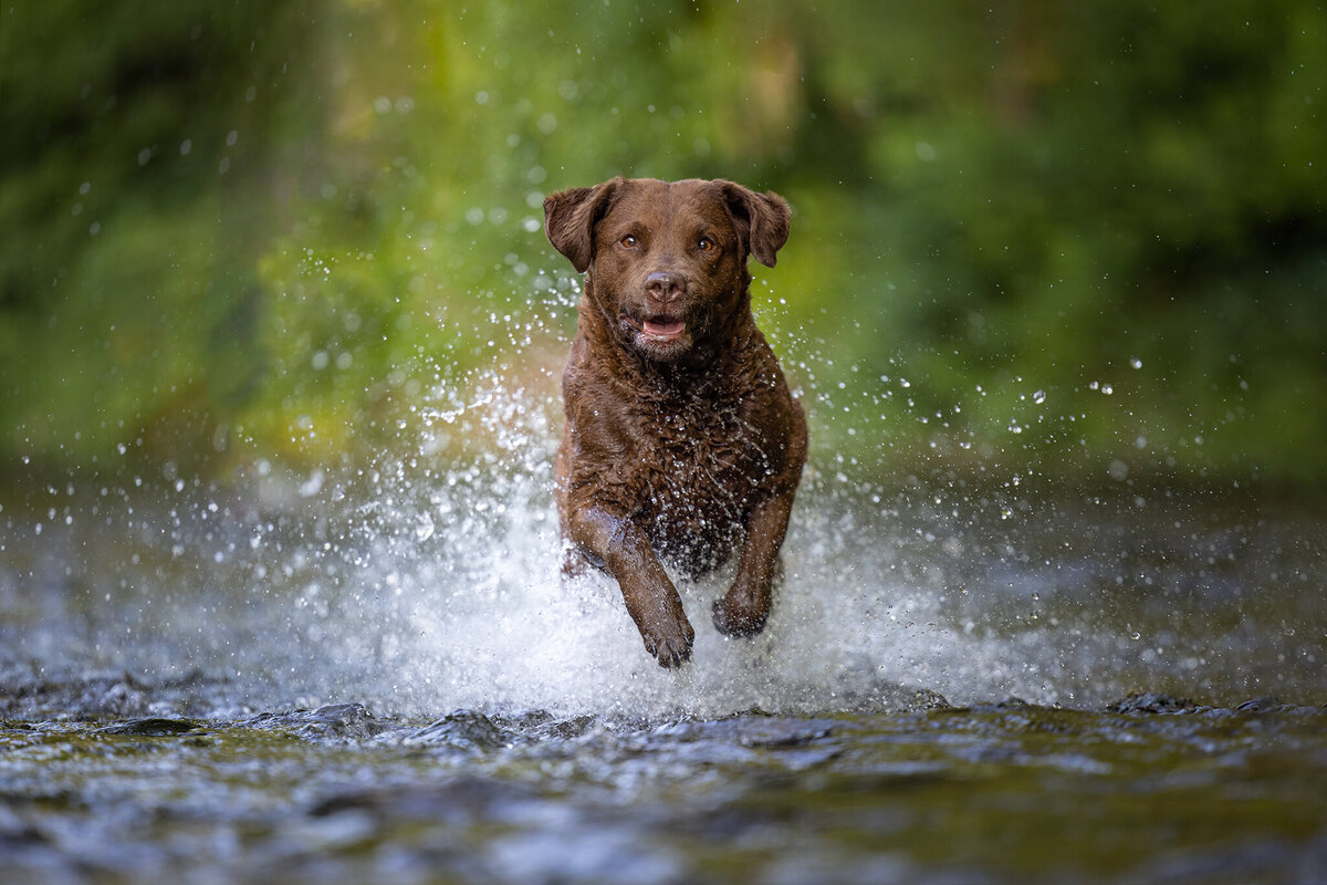IMG_0571-Edit