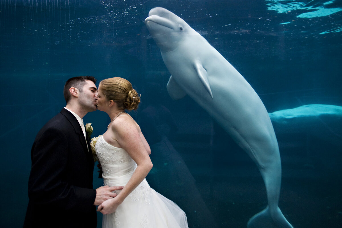 A newlywed couple kissing at an aquarium with a sea creature swimming behind them 