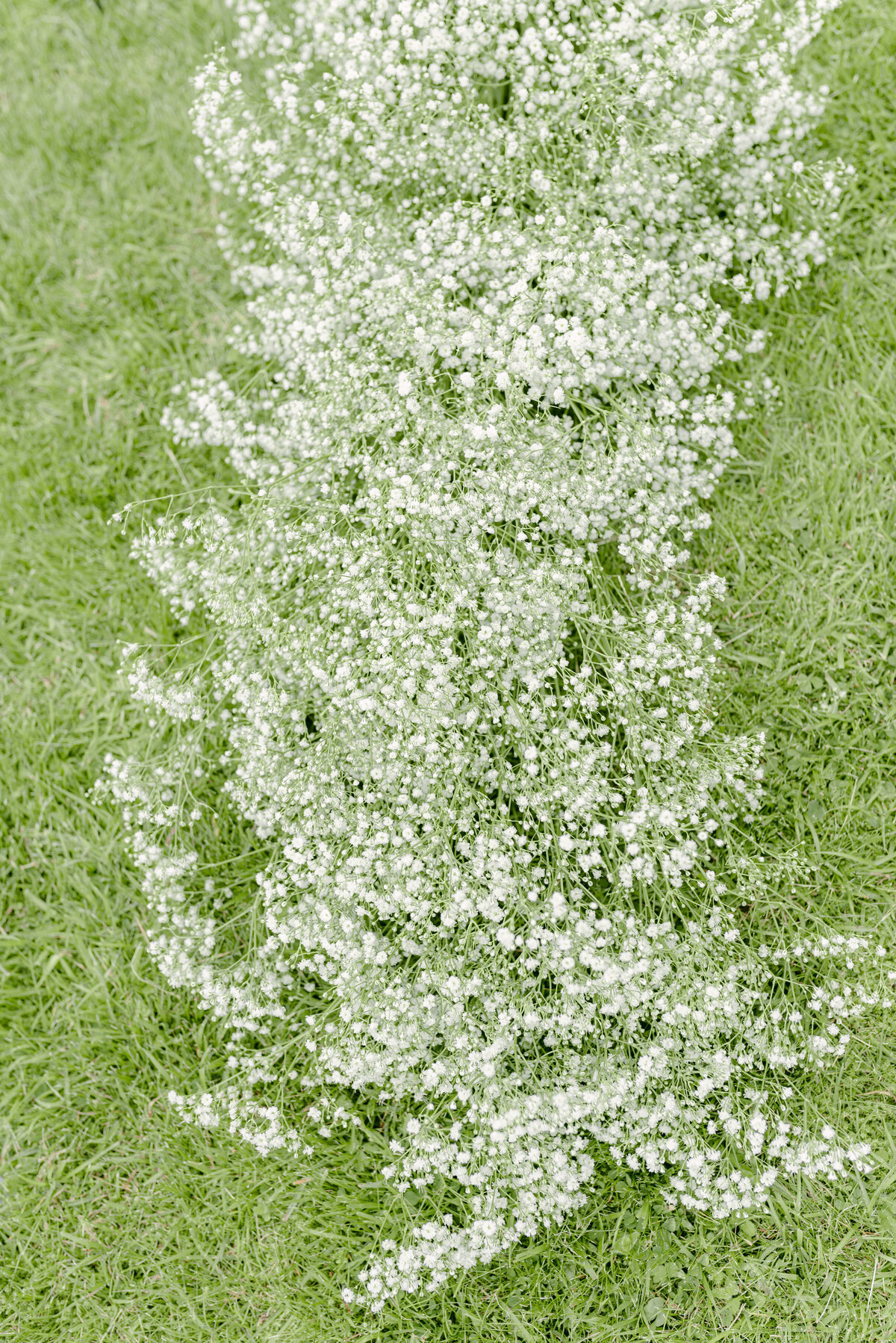 Florals by Hays Flowers, simple gypsophila wedding florals arrangement, image by Jill Cherry Porter