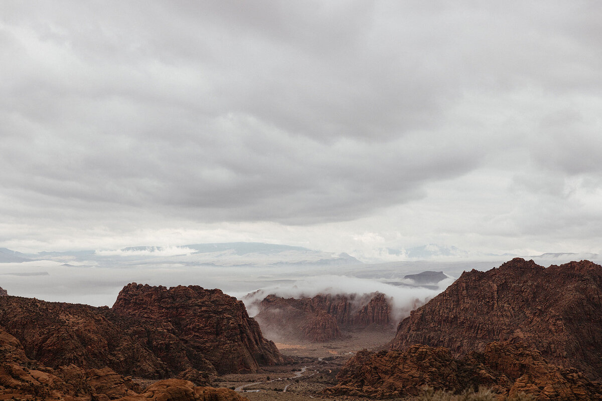 ZionSnowCanyon-dallinhassard-2442