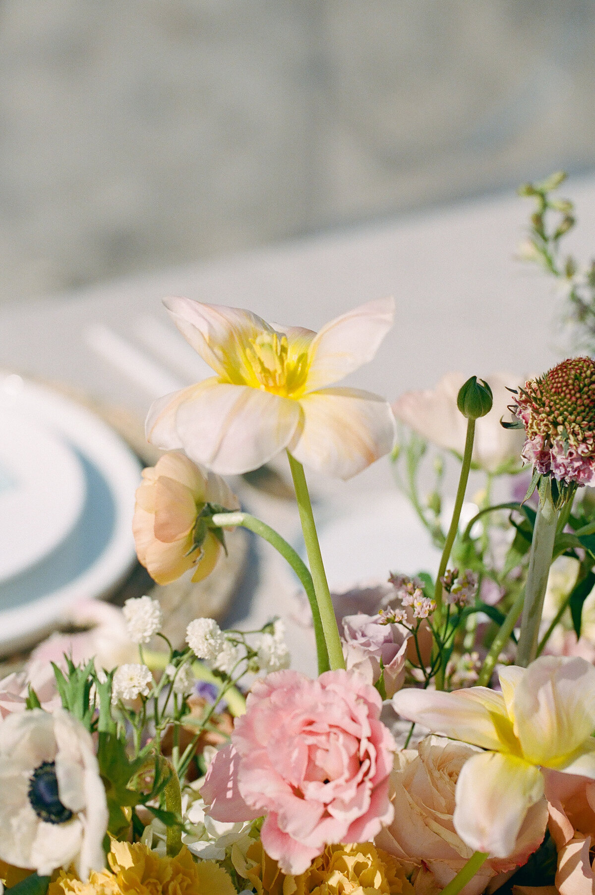 Same as floral details 1