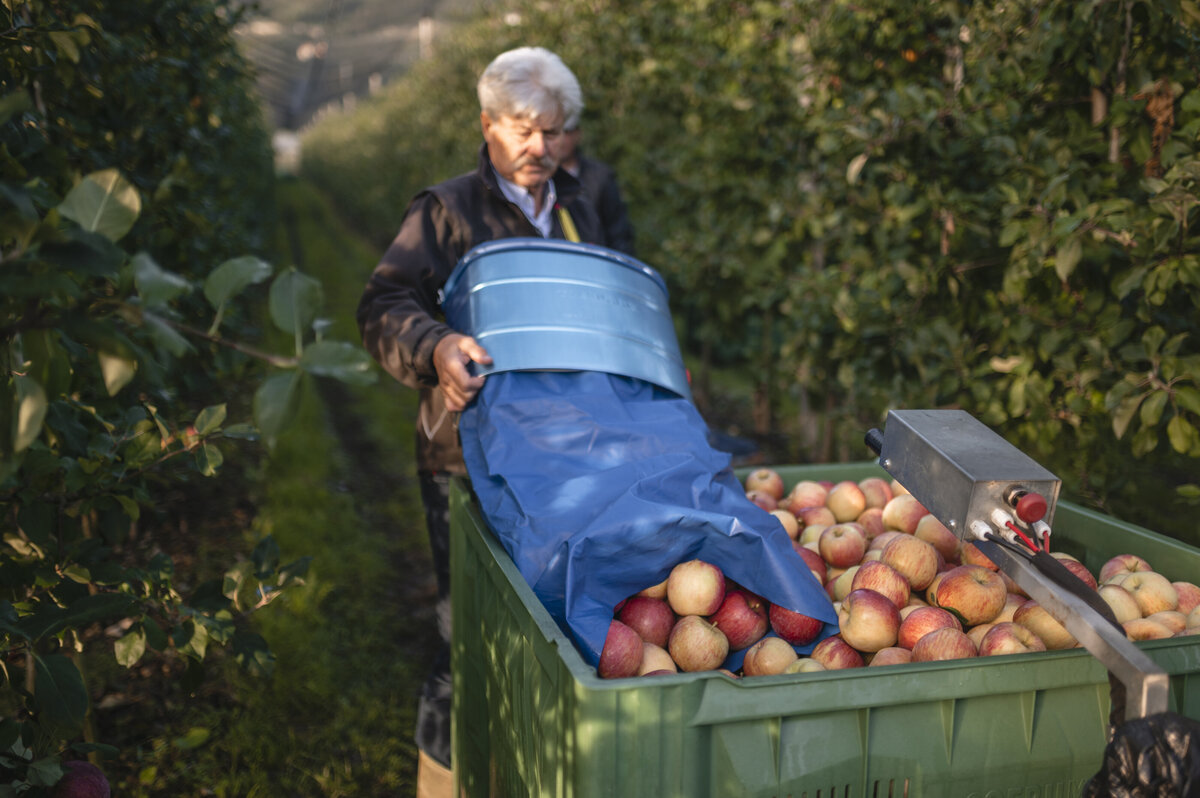 Waterstone - Dolce Vita Hotels - South Tyrol - Luxury Boutique Hotel - Autumn (4)