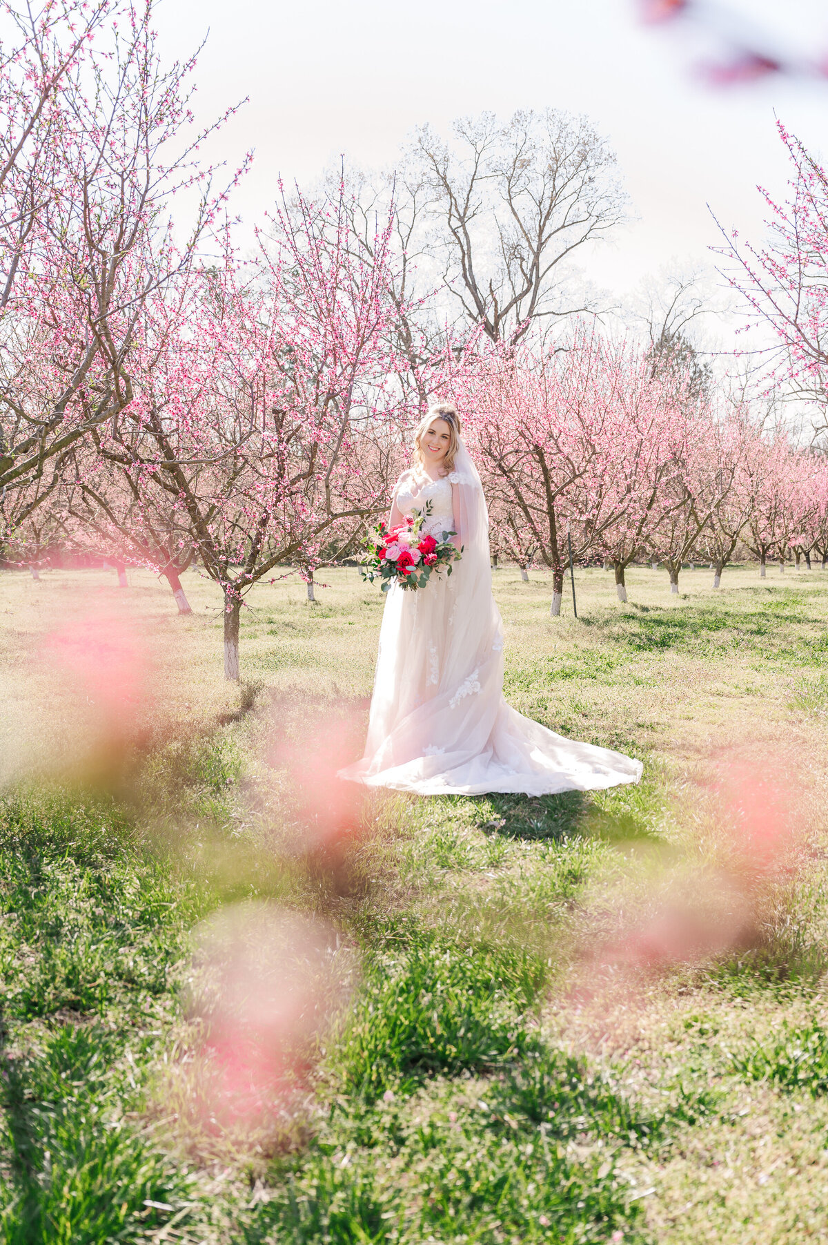 A glowing blonde bride during her bridal portraits in bright pink cherry blossoms in the North Carolina countryside by JoLynn Photography, a destination wedding photographer