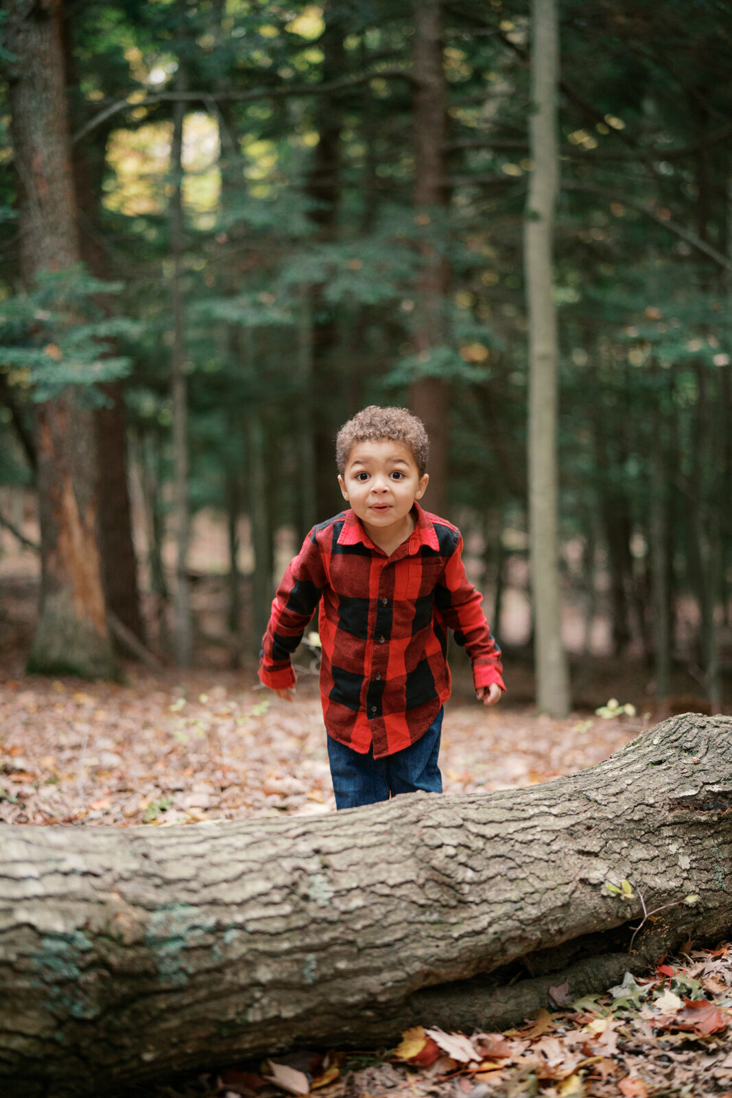 Grand Rapids Family Photographer-412