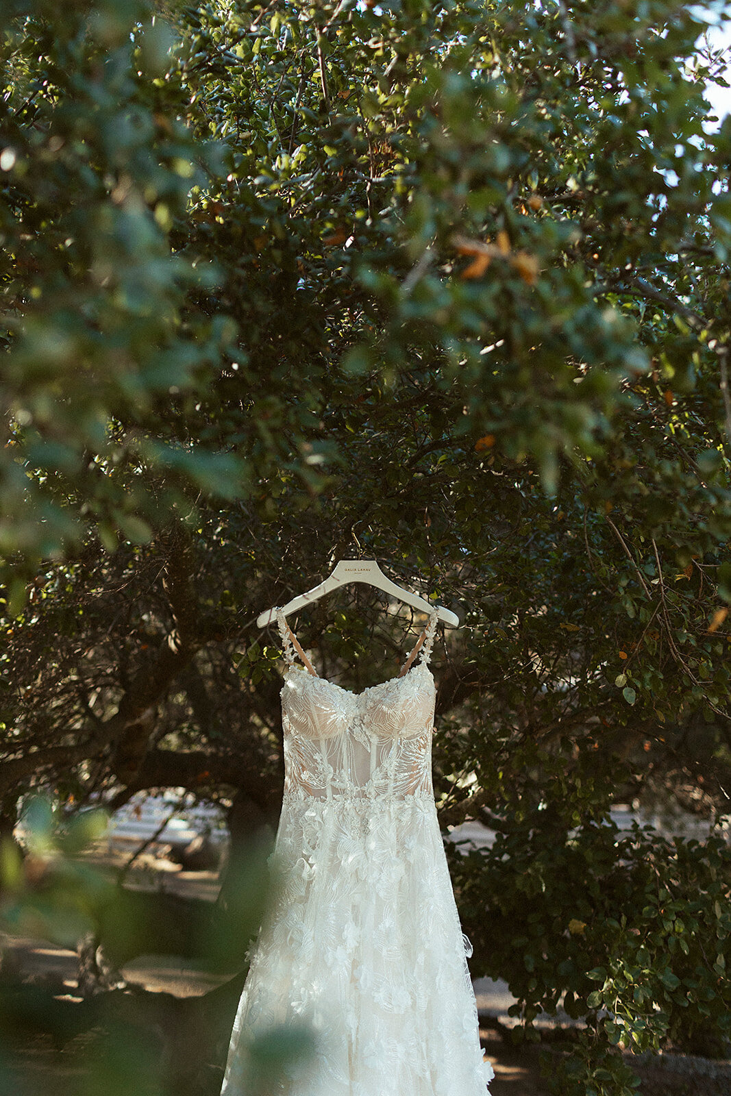 wedding dress hanging from a tree