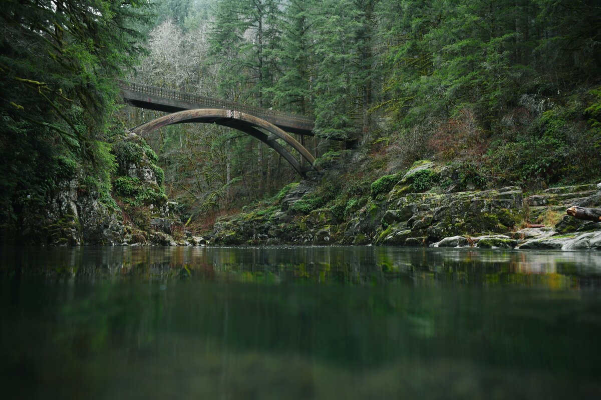 yuriy-bogdanov-yGrLQ3EQTl0-unsplash