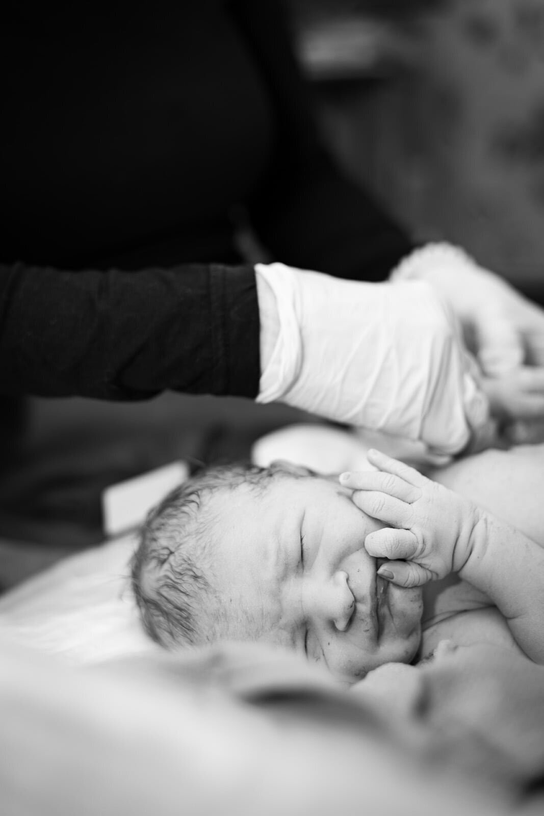 Greebsboro NC Birth Photographer | Hayley Jayne Photo 14