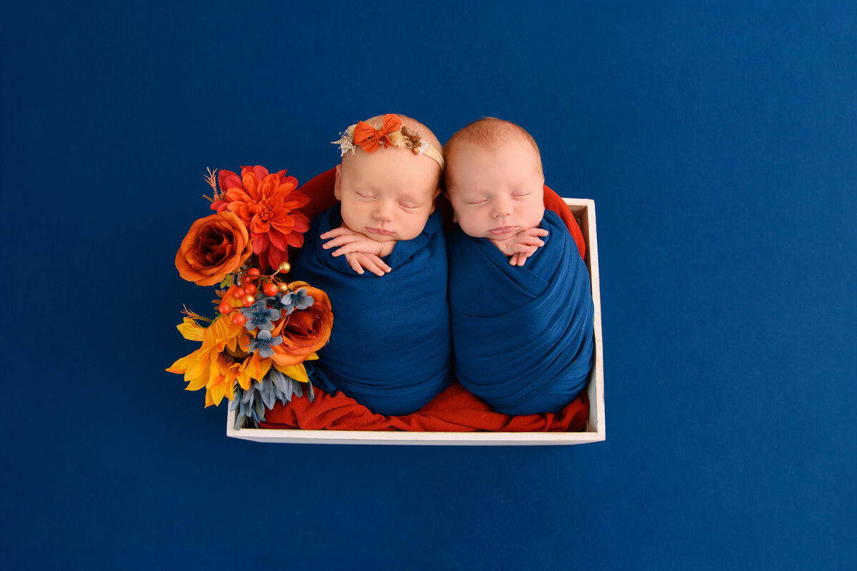Twin boy and girl wrapped in blue in a bucket with flowers on a blue background for their Twin newborn photography session Burlington, Ontario.