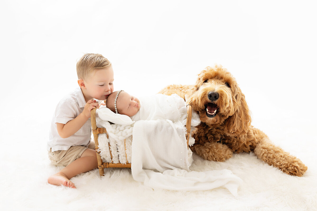 A toddler boy kisses the head of his sleeping newborn baby sister in a wooden crib with their brown dog laying with them during a NJ Newborn Photography session