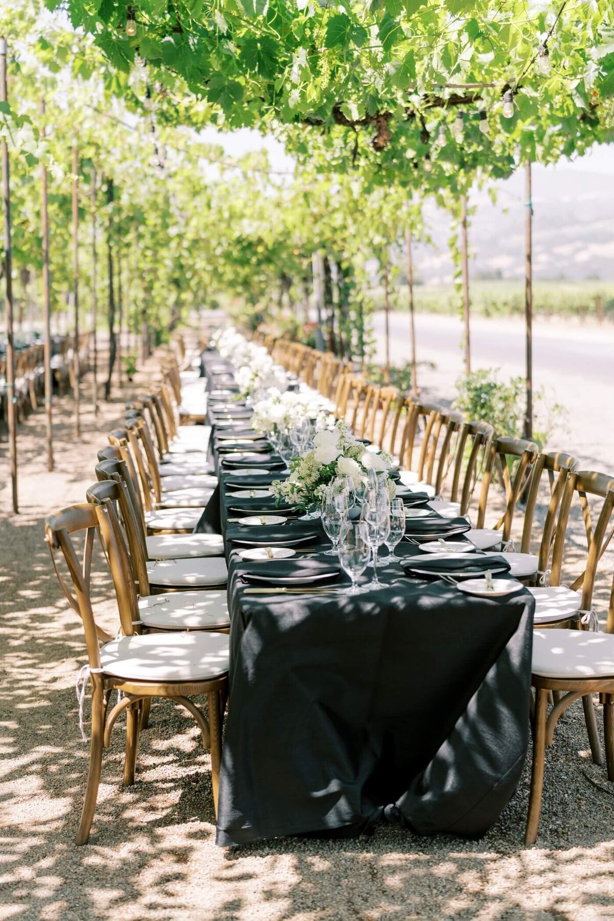 Trentadue winery napa california_0009