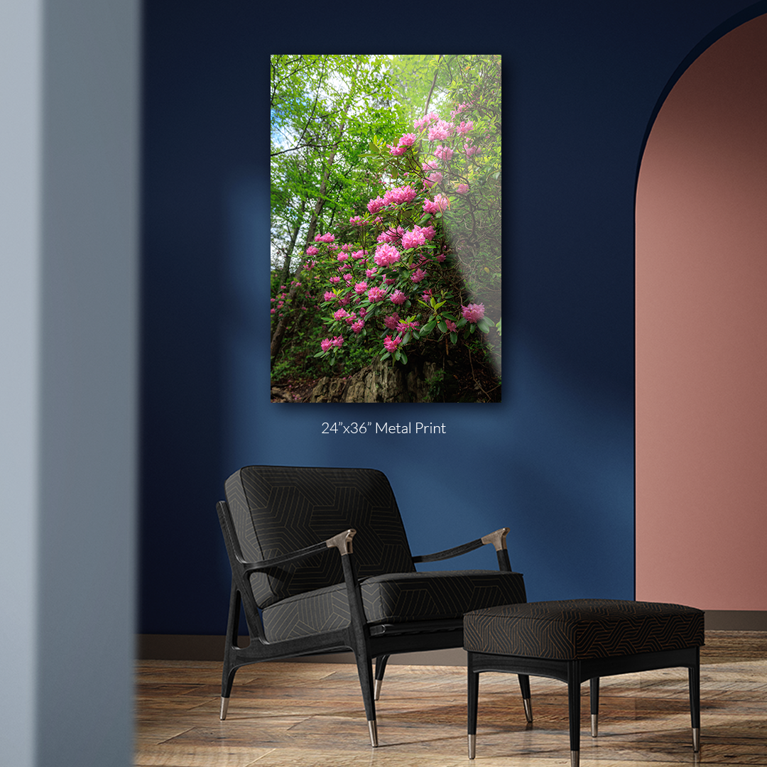 Zyan-Mockup