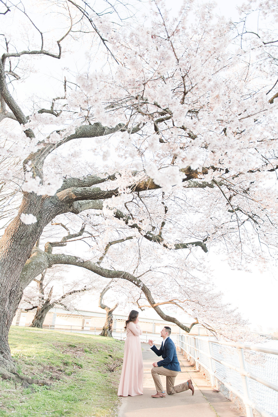 Cherry_Blossoms_Engagement_JOFFOTO-8