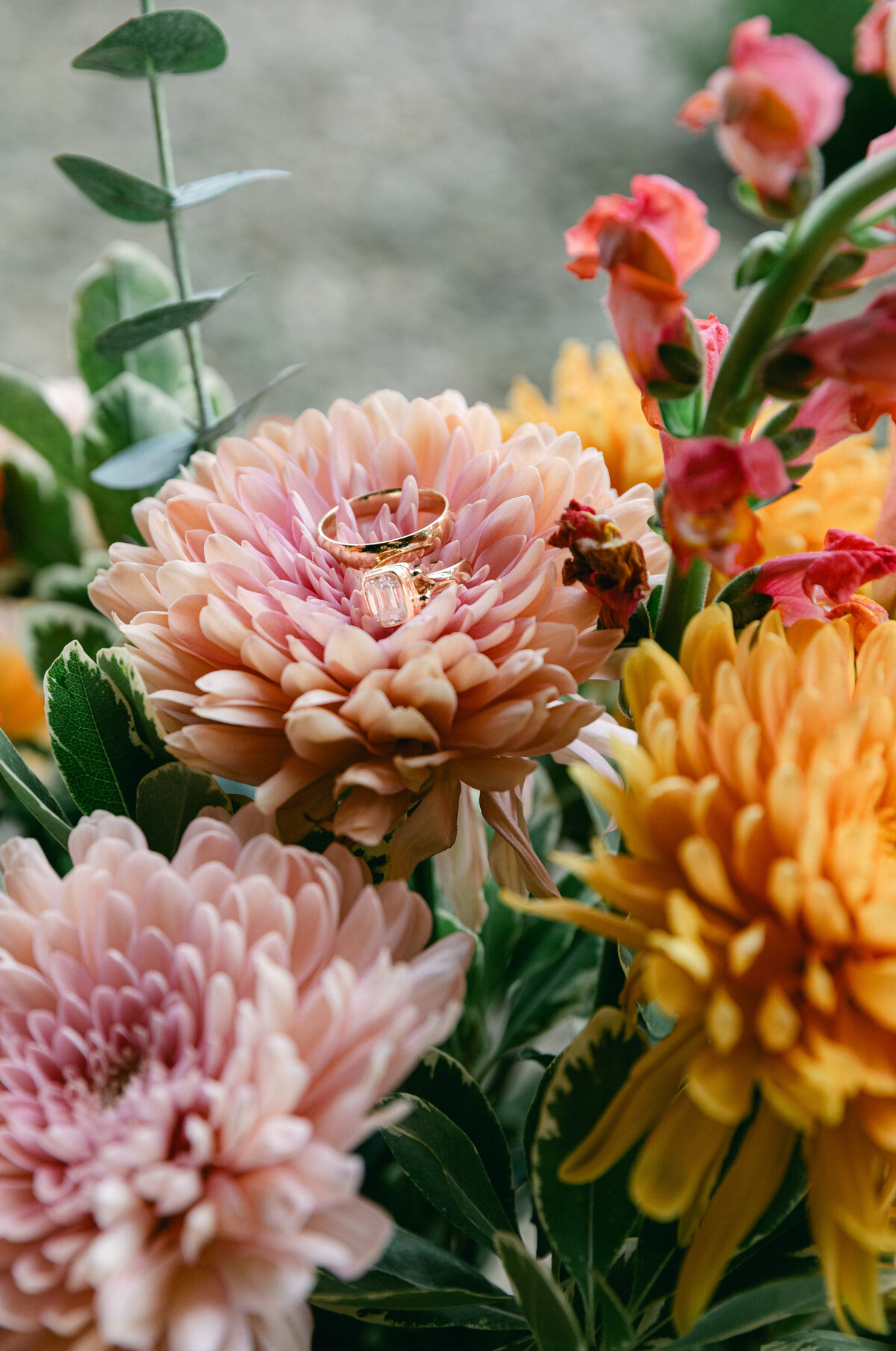 wedding-rings-flower-closeup