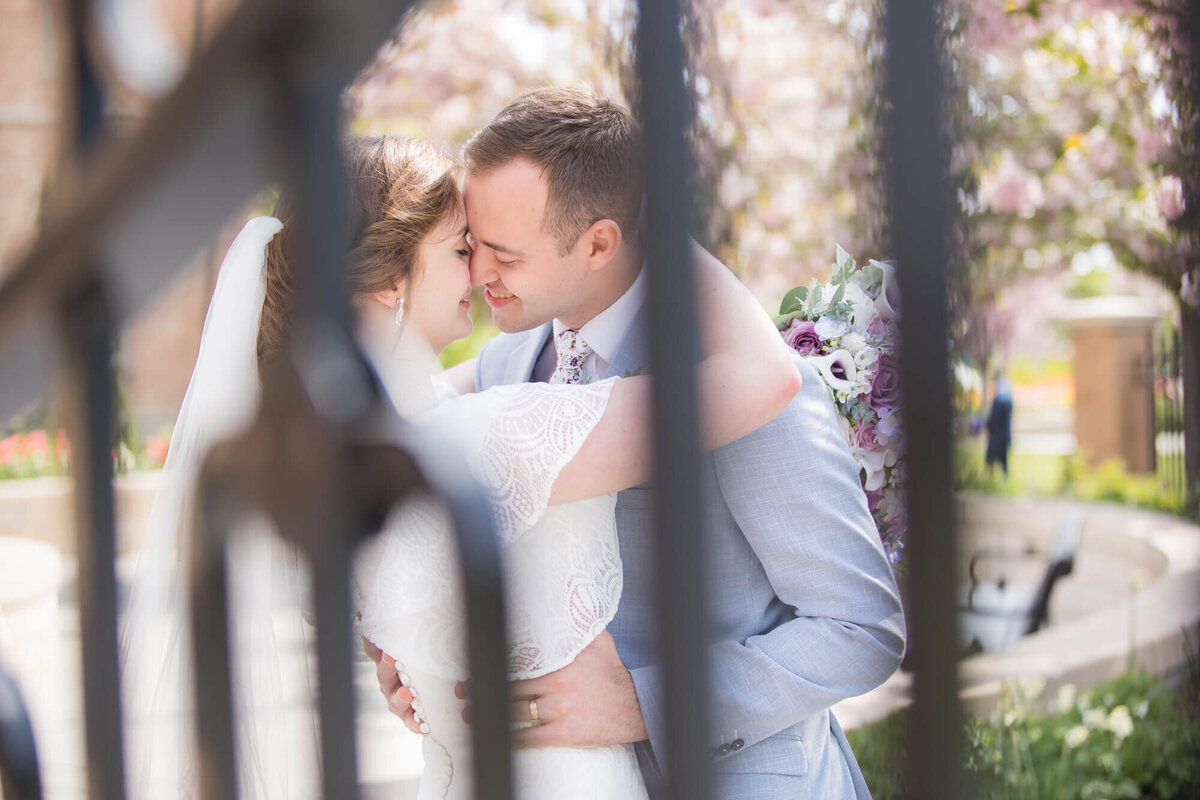 A wedding couple kissing behind a gate in the beautiful spring blossoms