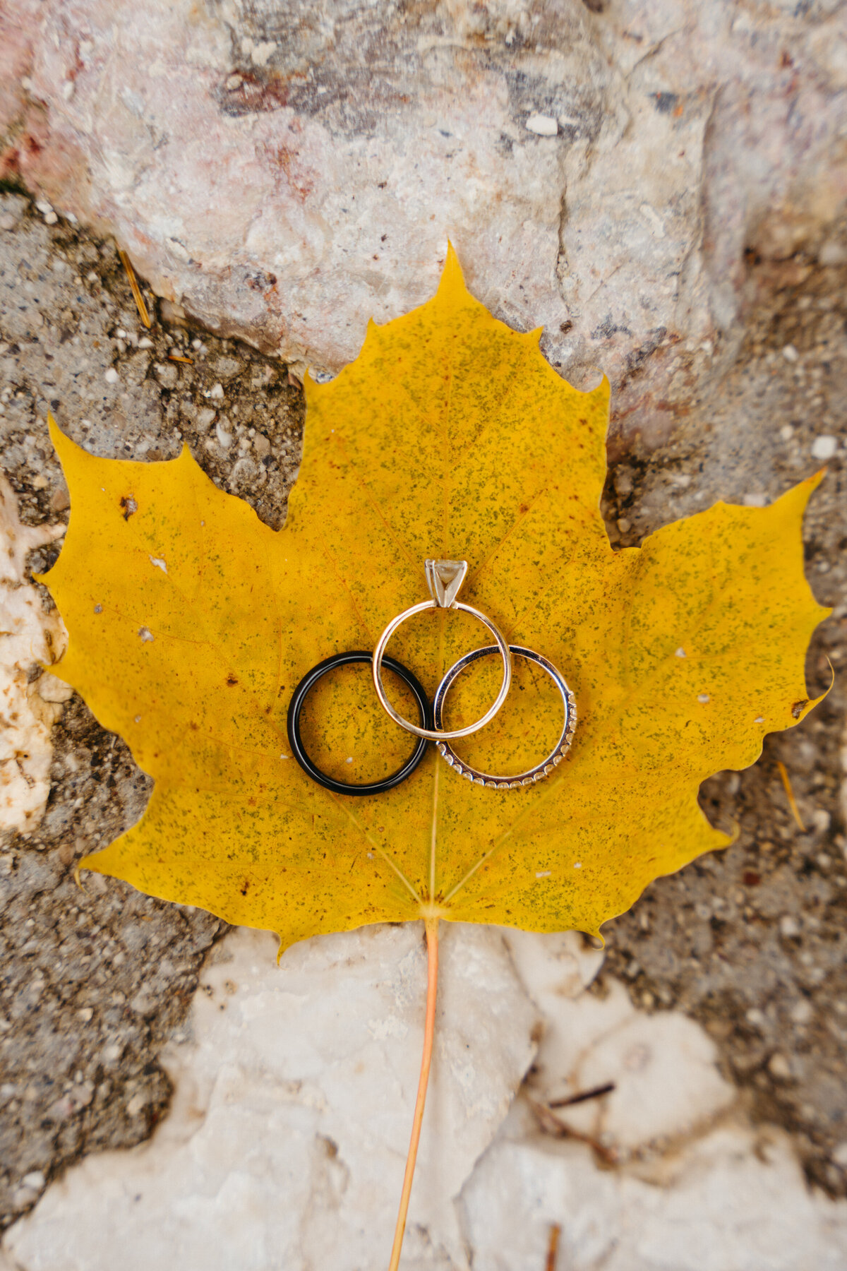 Golden maple leaf with wedding rings resting on it
