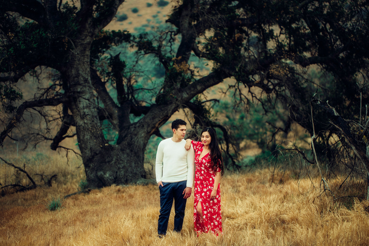 Engagement Photograph Of  Man In White Long Sleeves And Woman In Red Dress Los Angeles