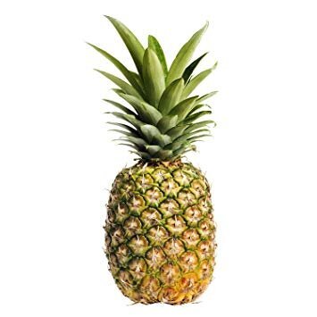 Pineapple Logo