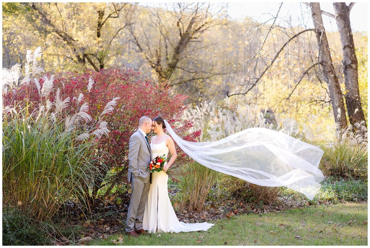 Golden Horseshoe Inn Micro Wedding Virginia_1689