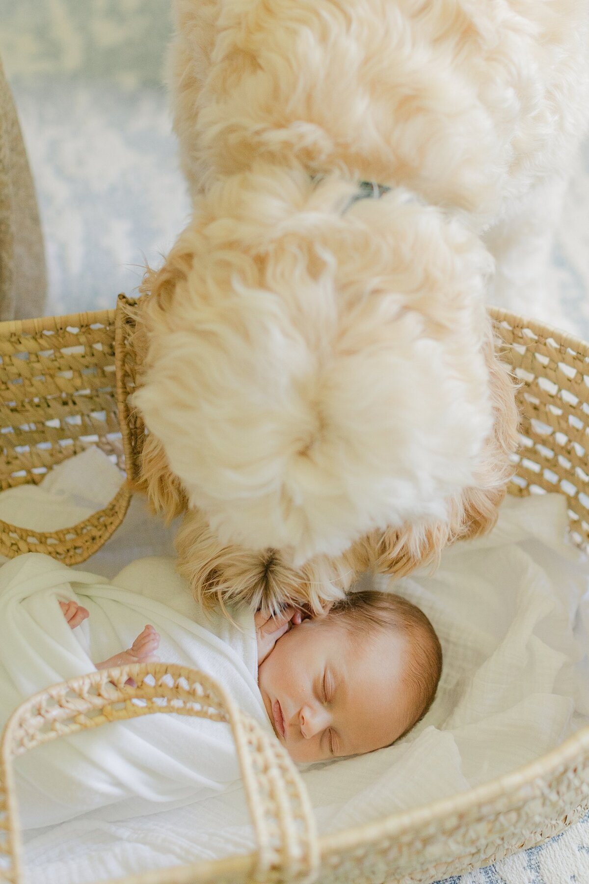 NEWBORN PHOTOGRAPHER ATLANTA