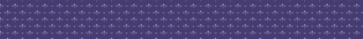 Dragonfly pattern