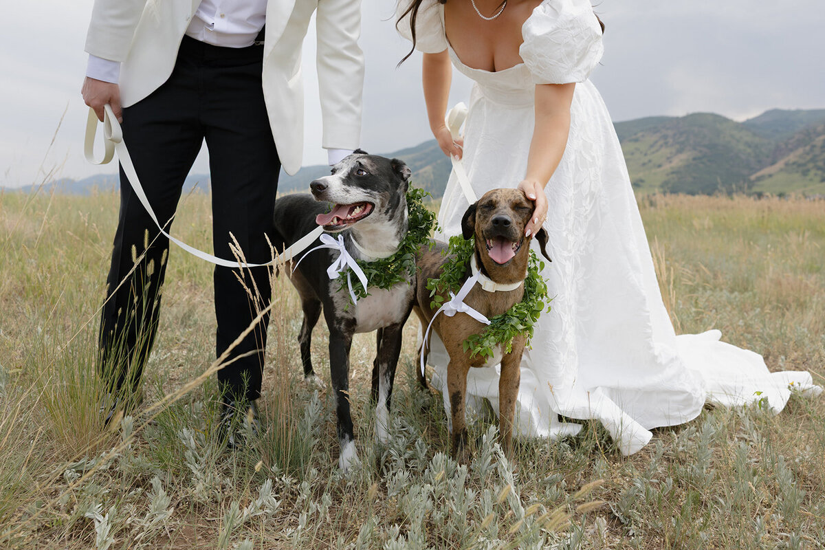 loui_photography_manor_house_colorado_summer_wedding_bella_pat-15