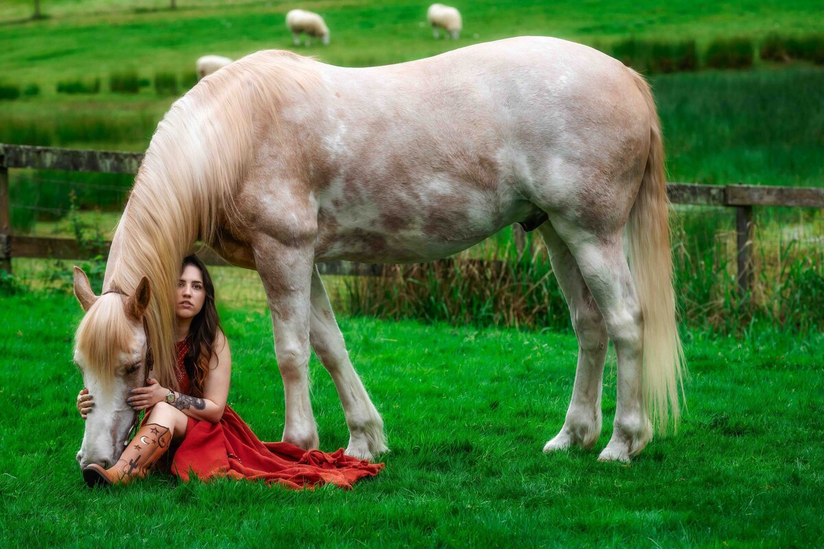 seattle-equine-photographer-9