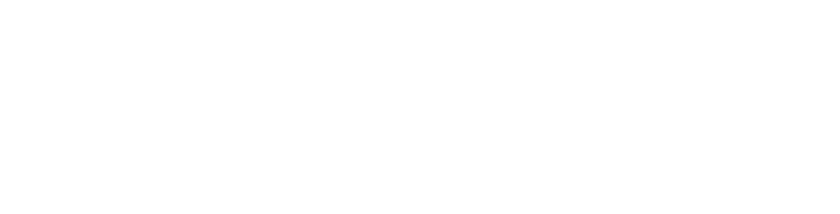 Nicole Tudisco Logo WHITE