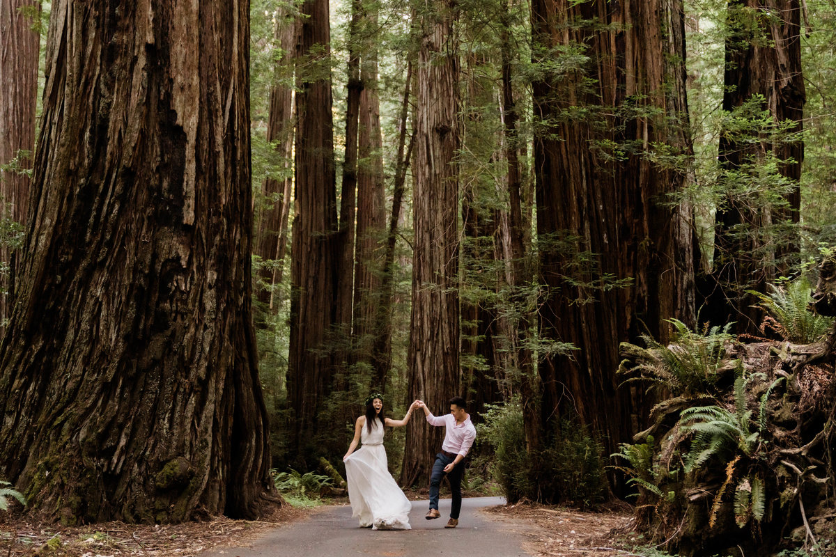 Sebastian+Alice_Humboldt_Redwoods_Elopement-1