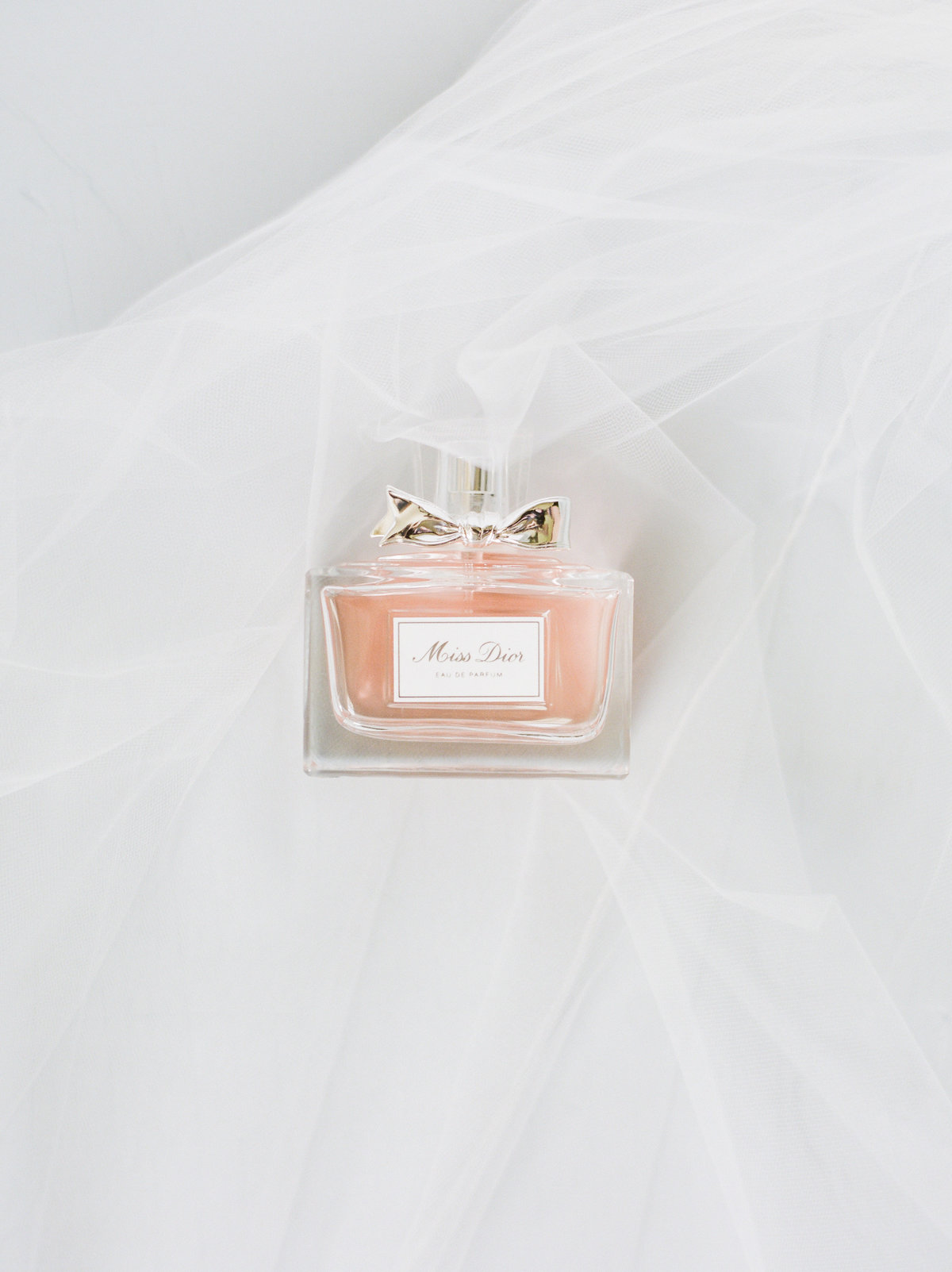 Paxton + Steven Sneak-1002