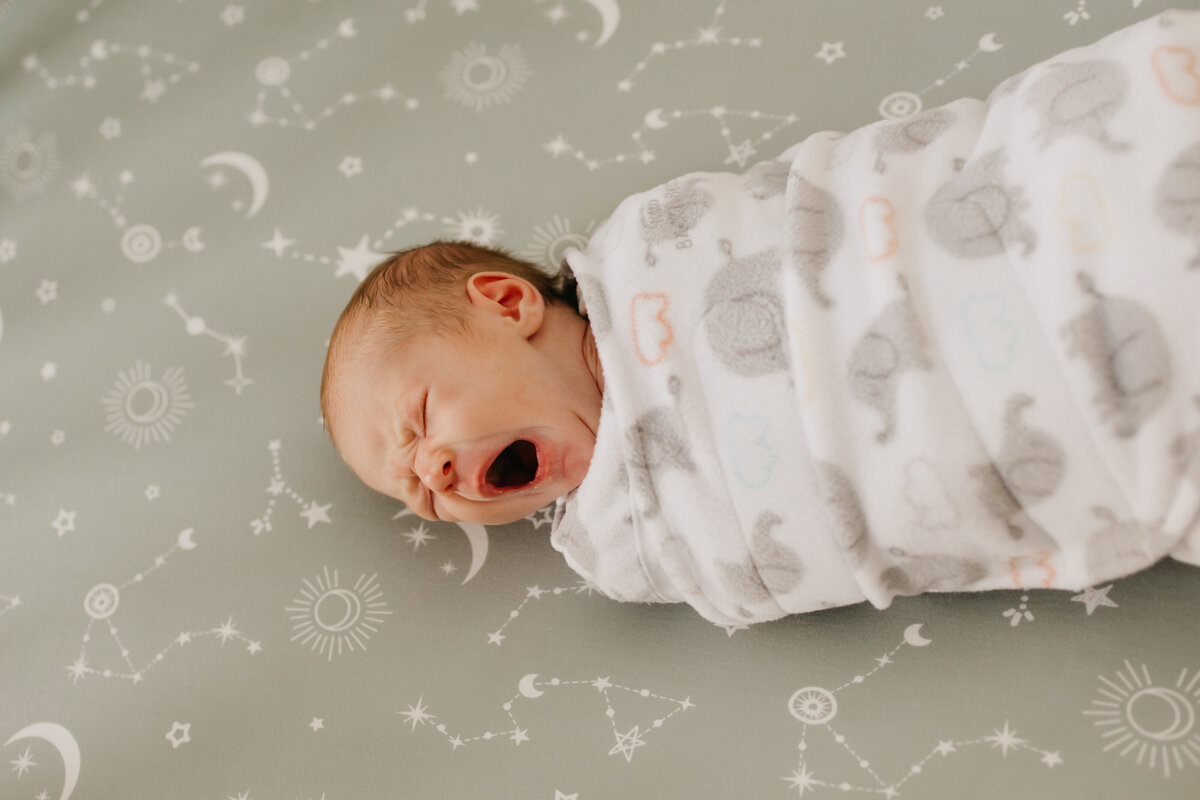 Minneapolis Family Photography (68)