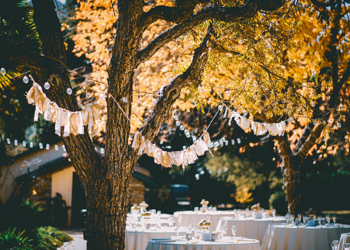 A beautiful tree decorated for an outdoor wedding in Spain, with white tables and festoon lighting.