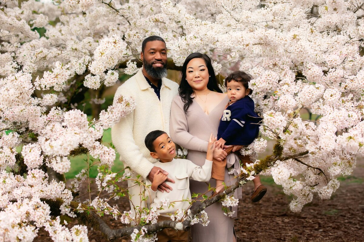 Chicago family photographer