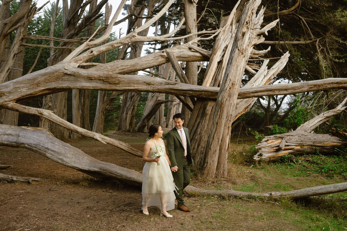 Megan_Andre_Half_Moon_Bay_Engagement-011