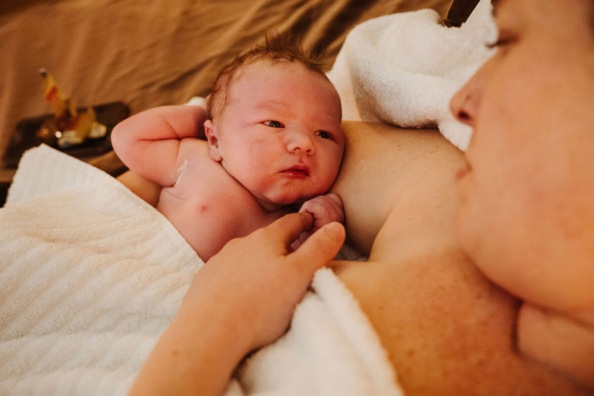 BabyGriffin205
