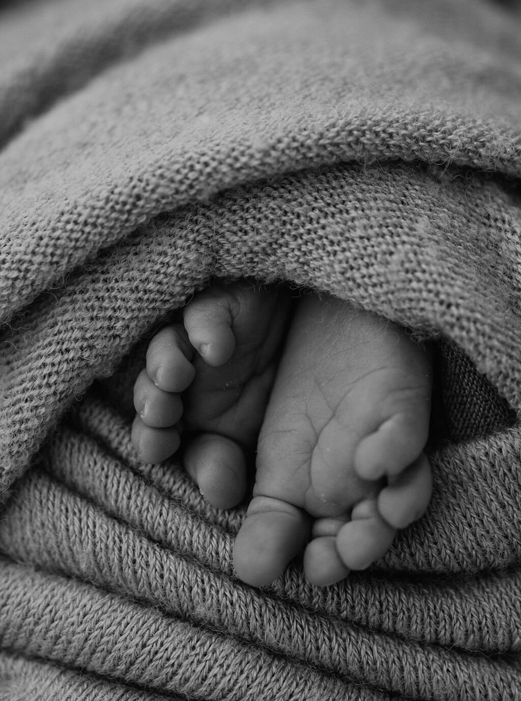 missouri-newborn-photographer740A5675