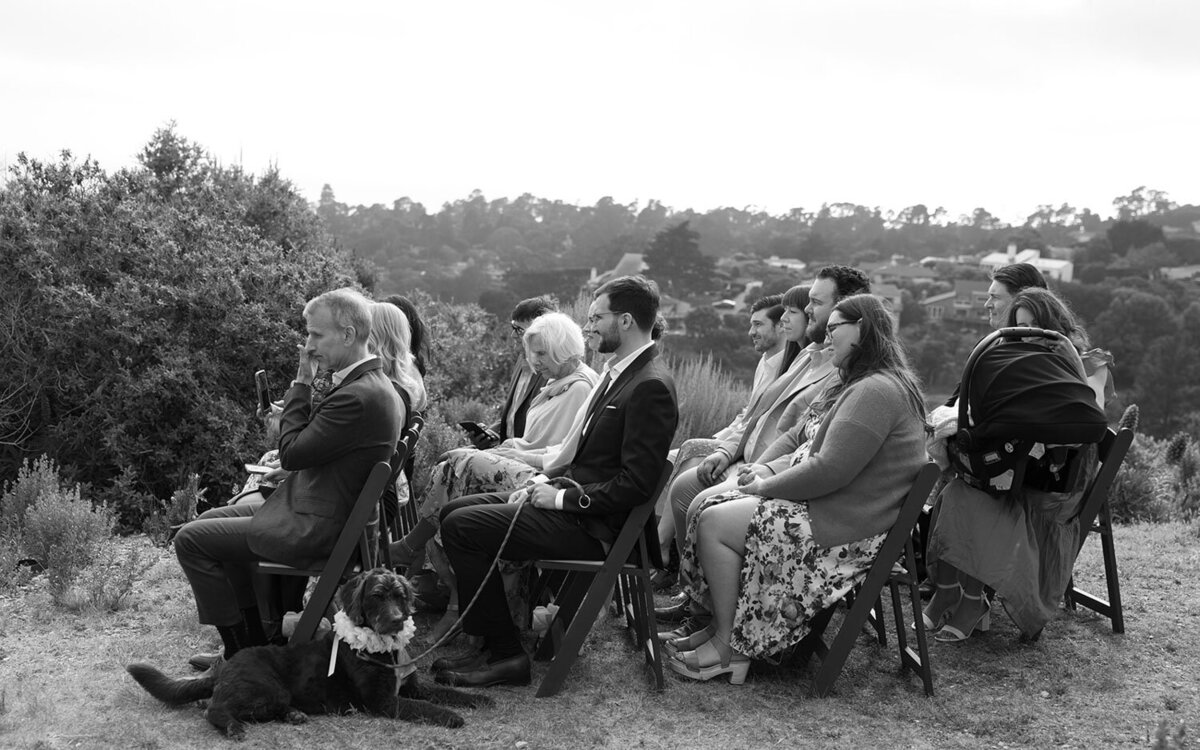 Guests seated outdoors watching the wedding ceremony, black and white