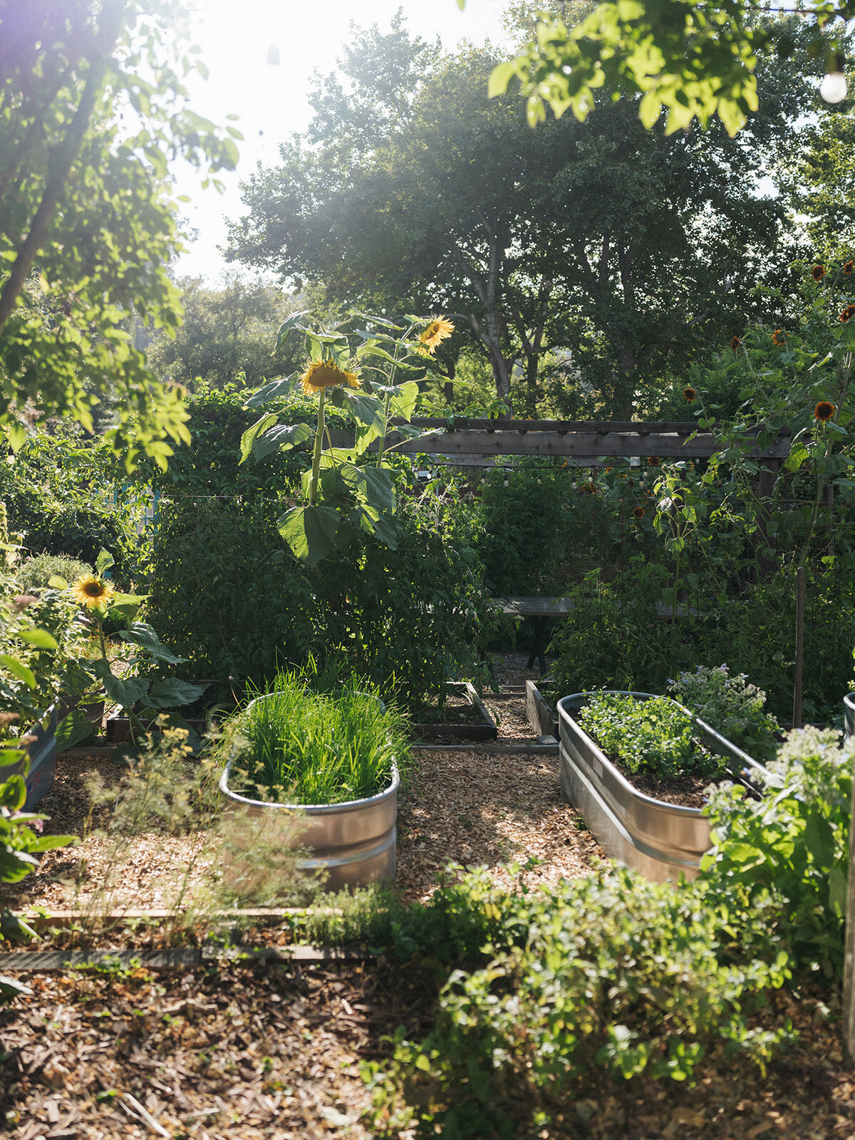 MarcusTrawick-411_websize