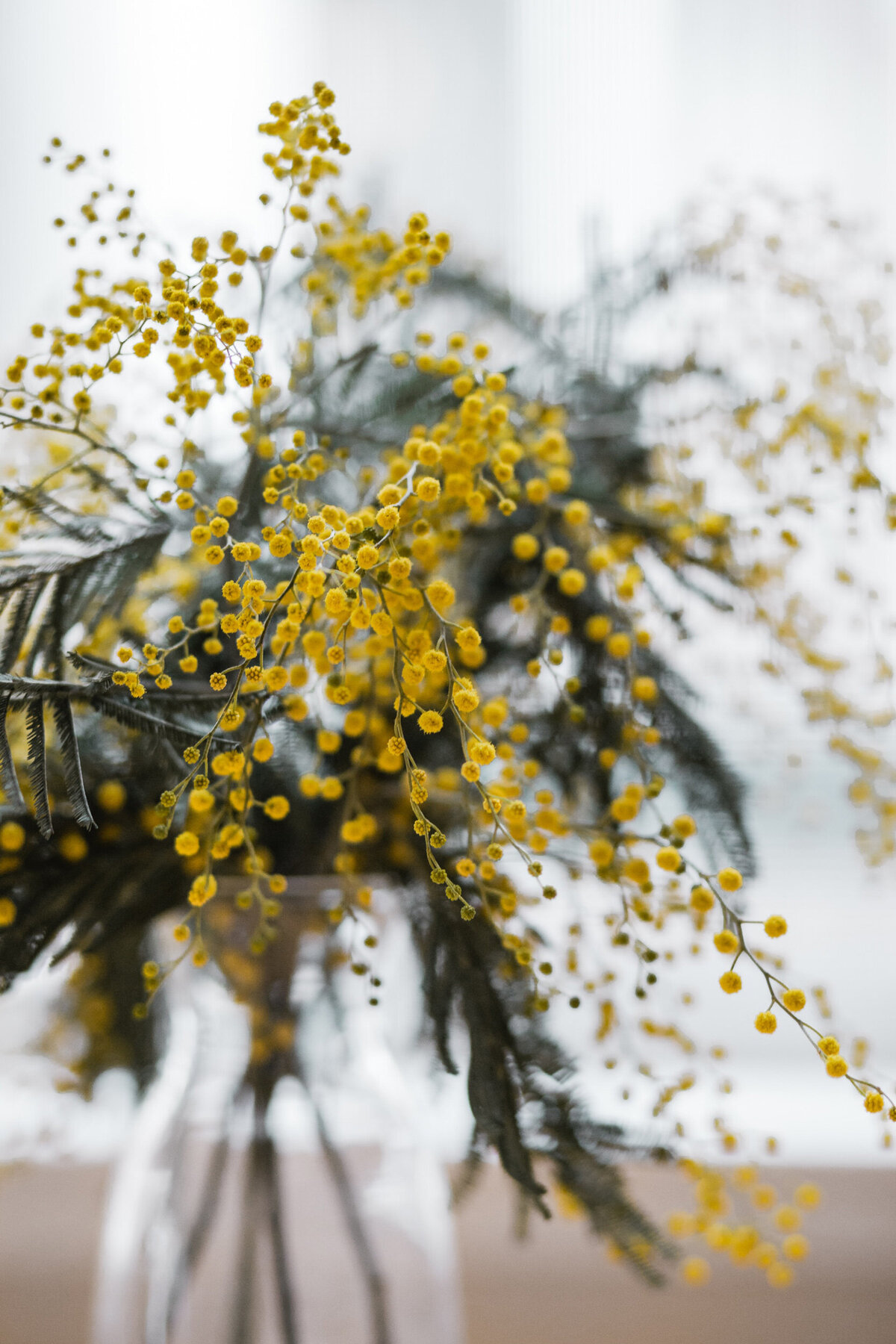 yellow-flowers