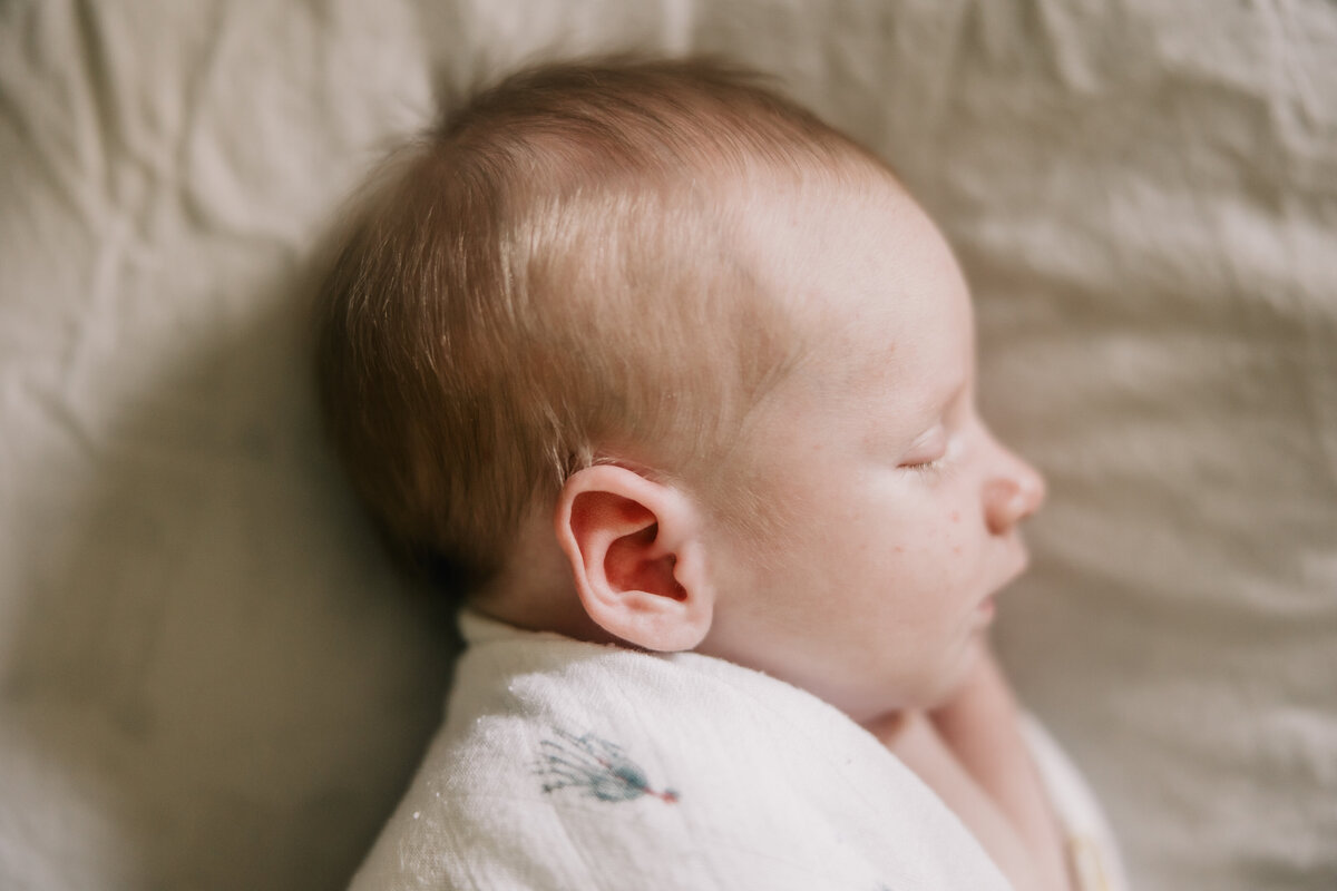 adam-barron-newborn-session-006