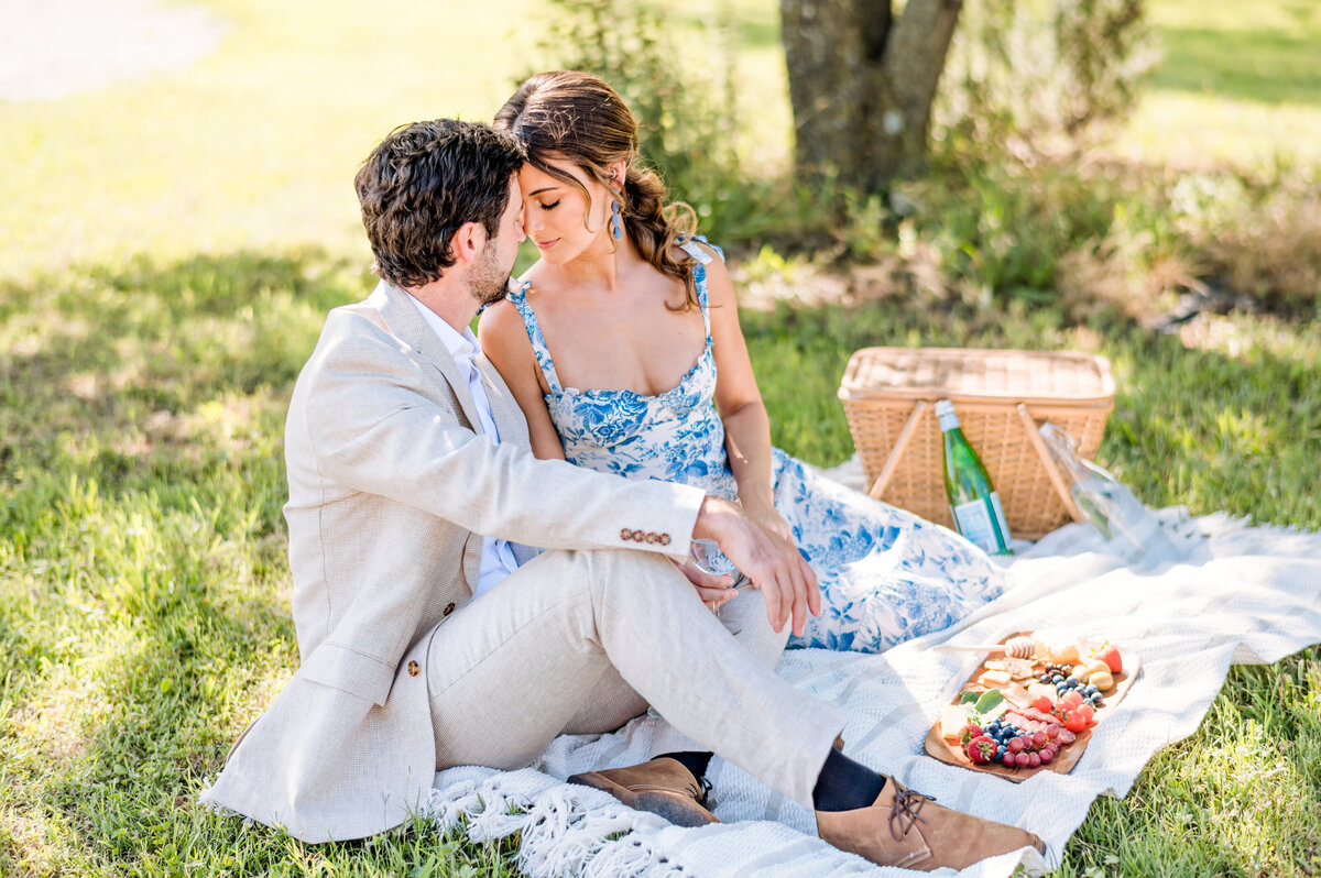 maryland-wedding-photographer-picnic-engagement-1