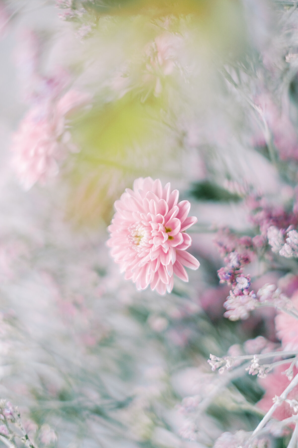 Mimi_s-StudioPlay-152