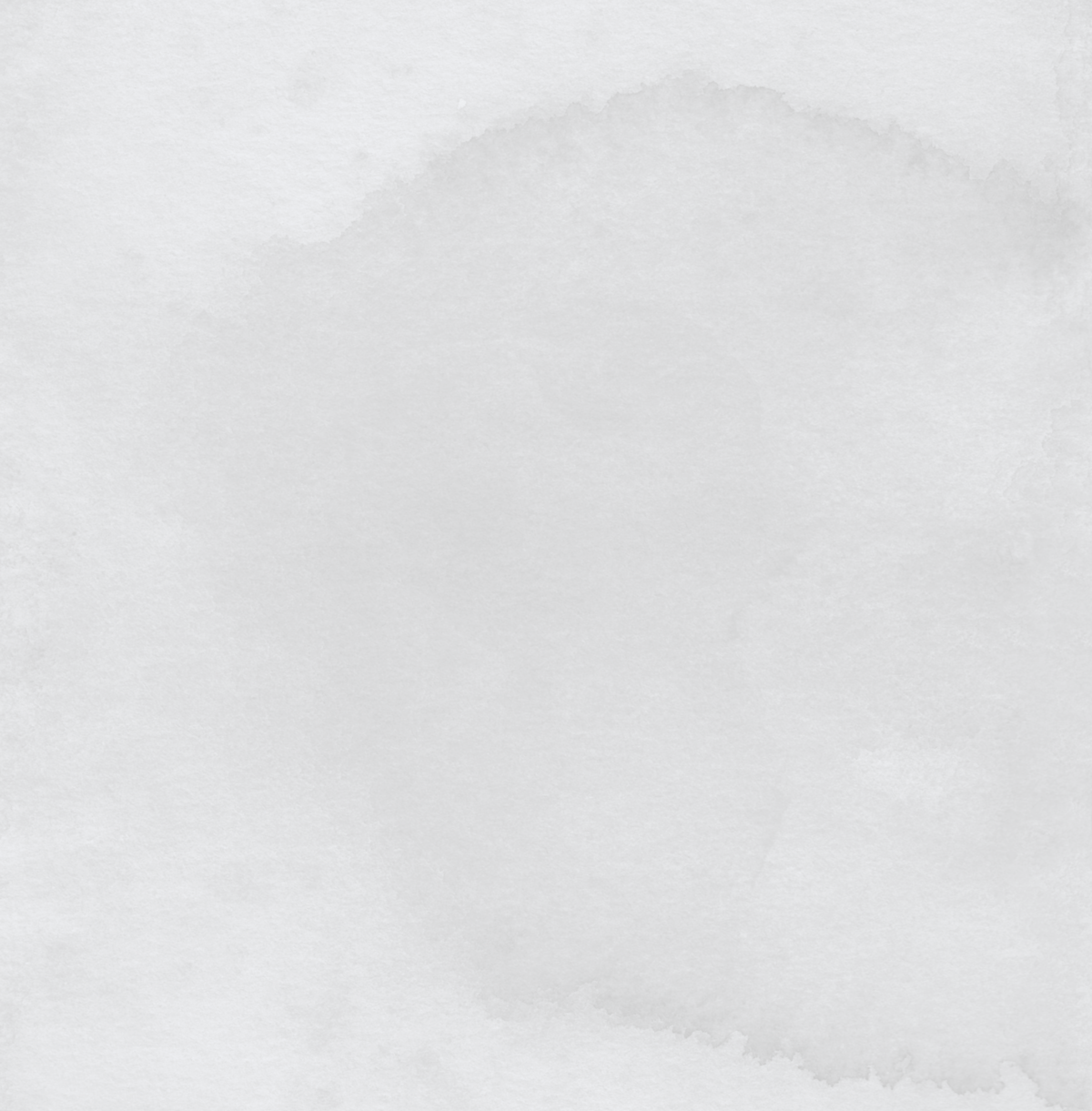 Shell Detail | Nicole Chapman Design