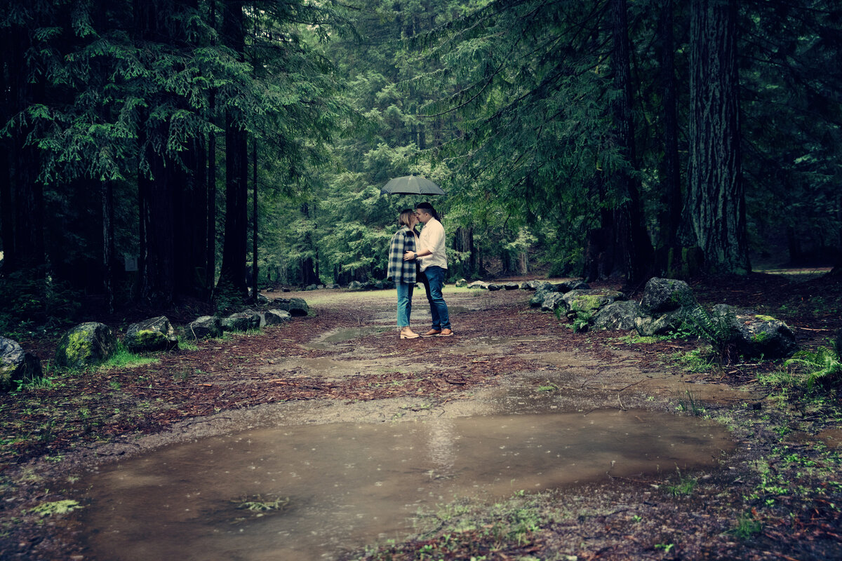 engagement shoot mendocino forest