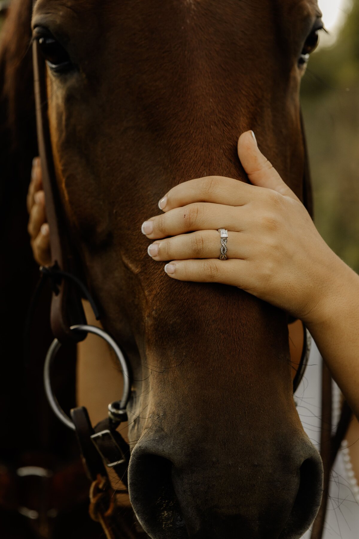 iowa-engagement-with-horses-3